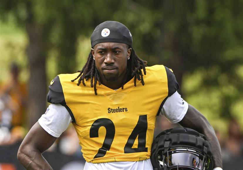  Steelers Legend Polamalu Criticizes A Rookie: “If You Can’t Handle Camp, Forget About the Super Bowl!”