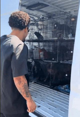 Bills Receiver Saves 19 Dogs From Euthanasia in Emotional Labor Day Weekend Rescue