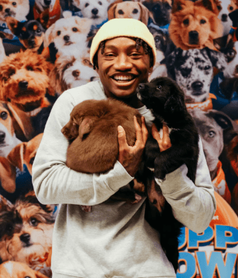 Ravens WR Saves 19 Dogs From Euthanasia in Emotional Labor Day Weekend Rescue