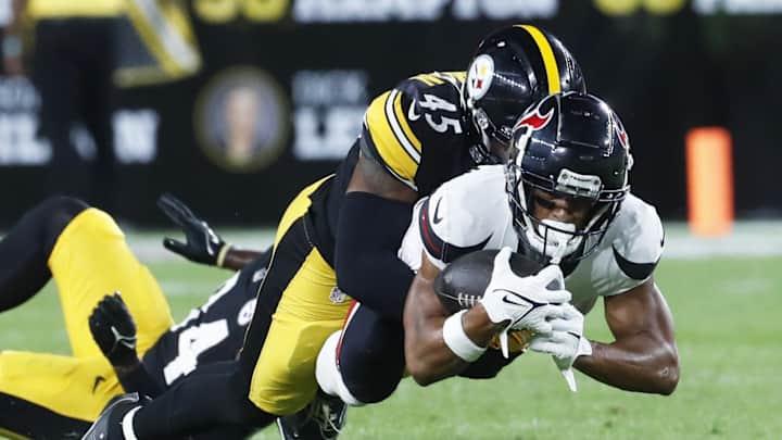 Panthers Poach Pittsburgh Steelers Practice Squad LB